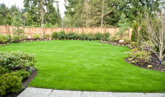 Lawn Turfing East London